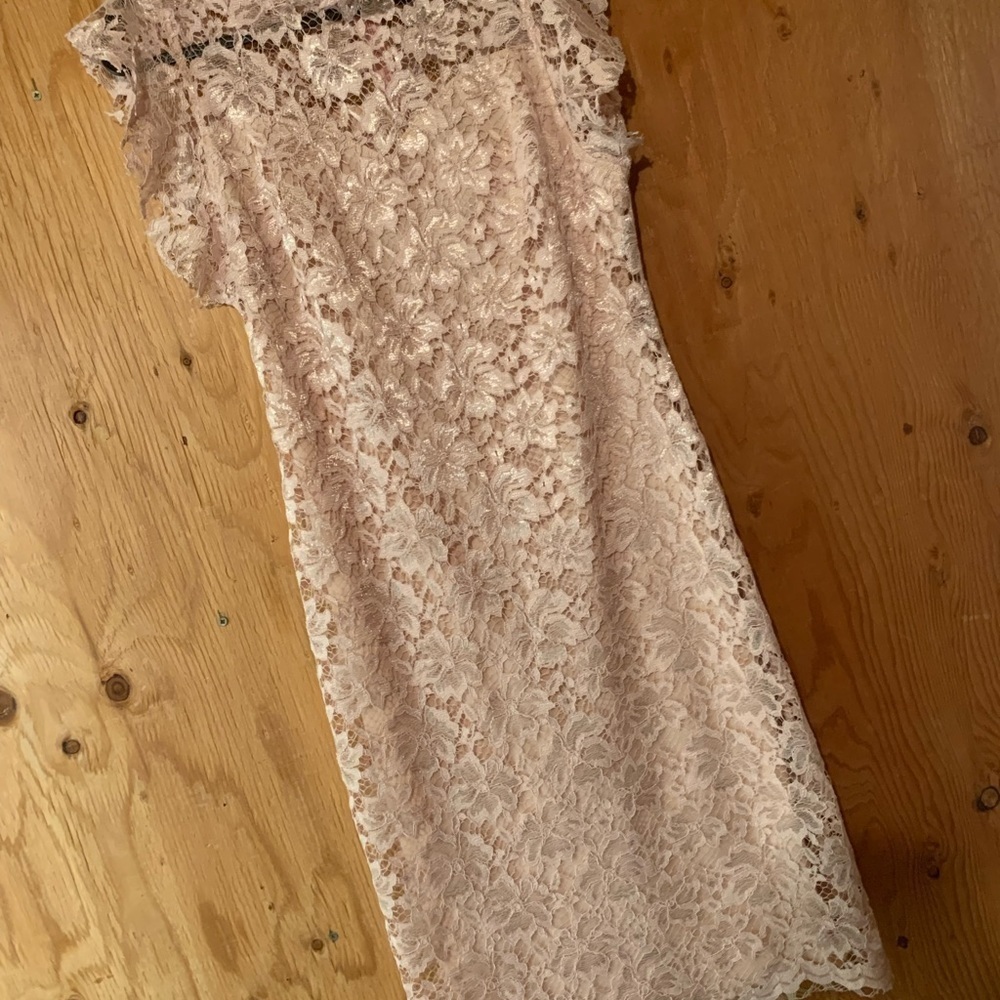 Enfocus Studio Blush Pink Lace Dress 10 - Picture 3 of 10